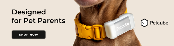 PetCube Camera Product