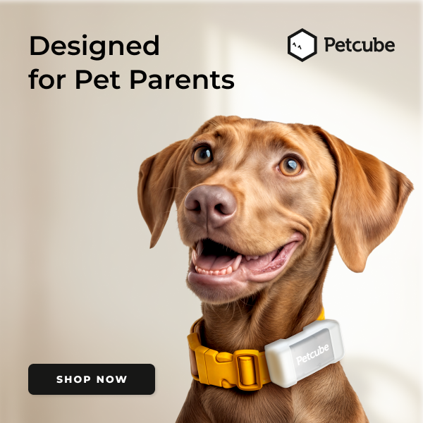 PetCube Camera Product