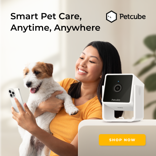 PetCube Camera Product