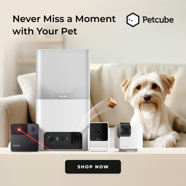 PetCube Camera Product