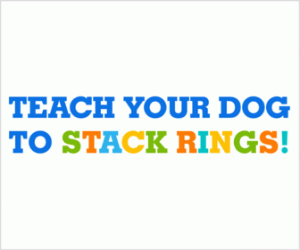 Brain Training For Dogs banner