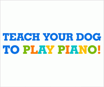 Brain Training For Dogs banner