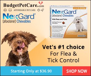 BudgetPetCare Meds for Flea