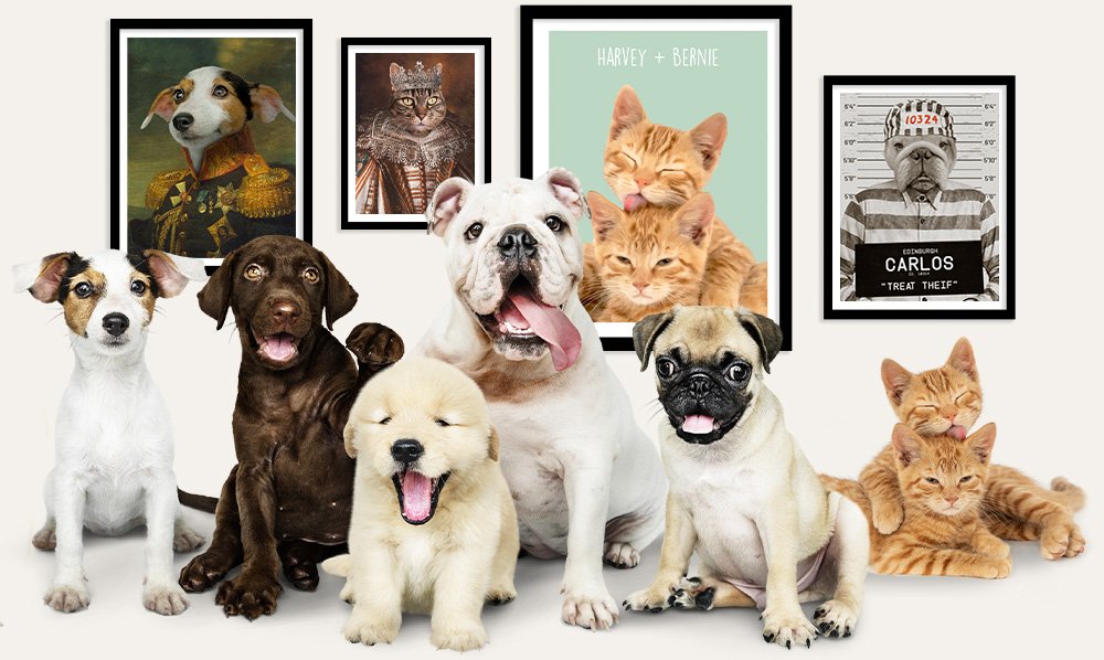 Purr & Mutt Product banner