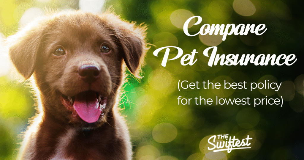 The Swiftest pet insurance banner
