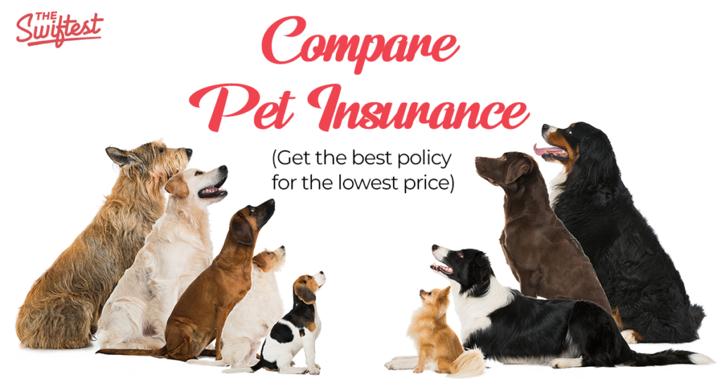 The Swiftest pet insurance banner