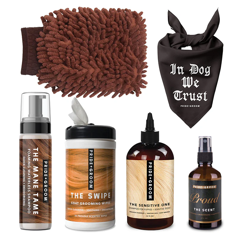Pride + Groom Grooming Kit for Dachshunds