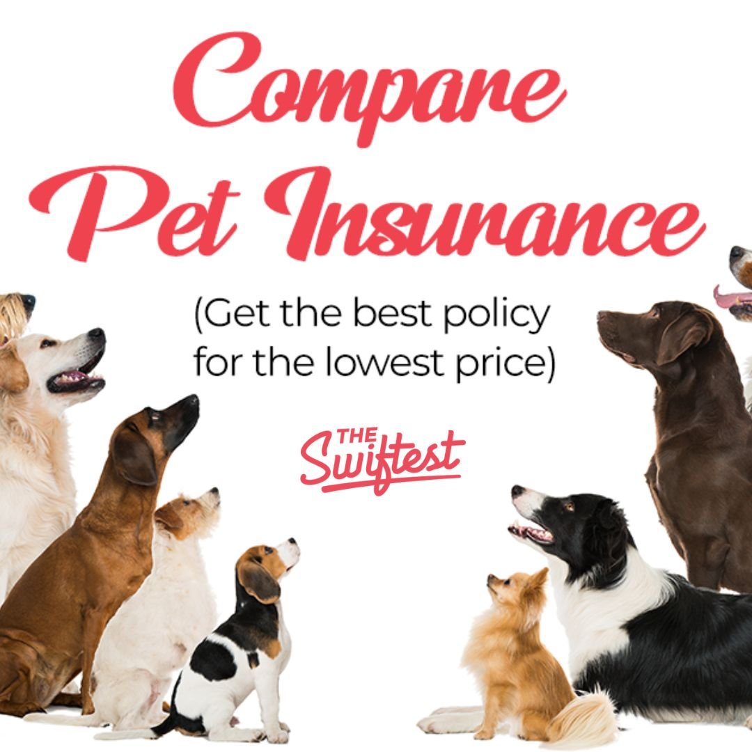 The Swiftest Insurance Compare Tool
