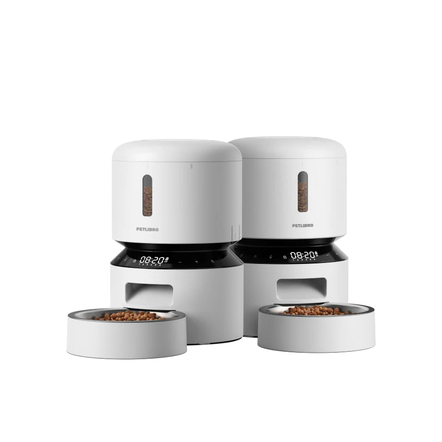 PETLIBRO Automatic Feeder for structured Dachshund mealtimes