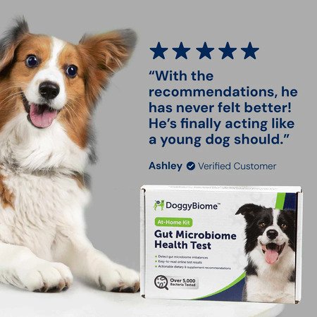AnimalBiome Gut Health Test Kit to check for behavioral triggers