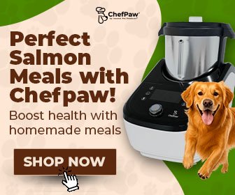 Perfect Salmon Meals with ChefPaw