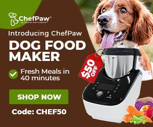 Dog food maker coupon