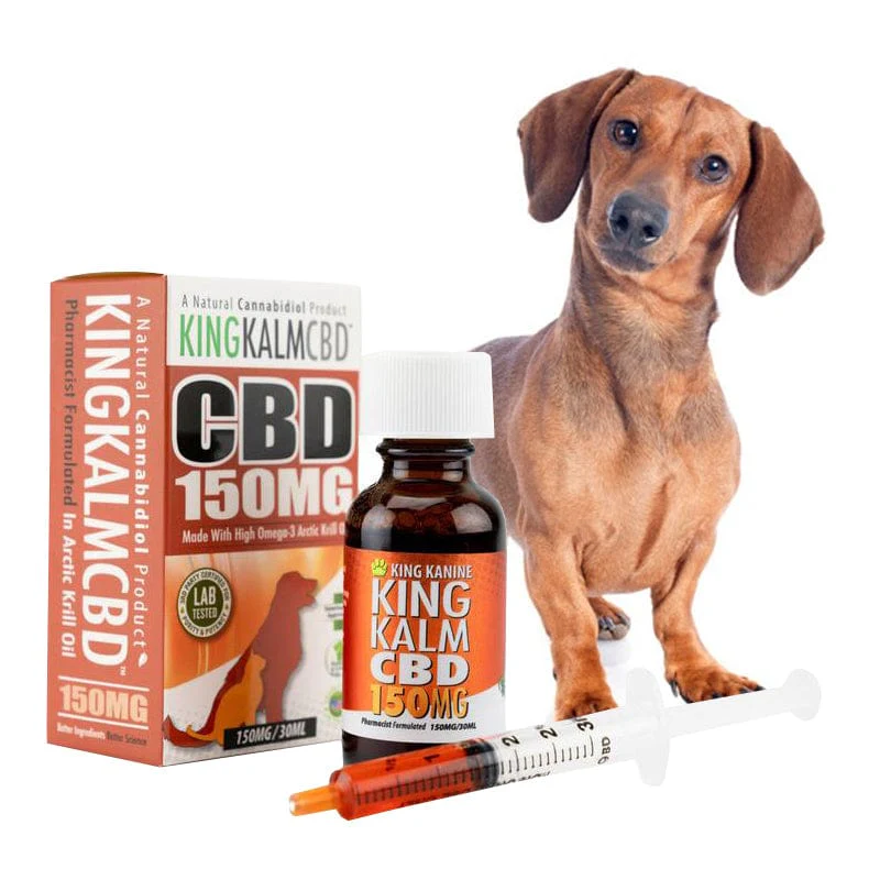 King Kanine CBD Oil for Dachshunds