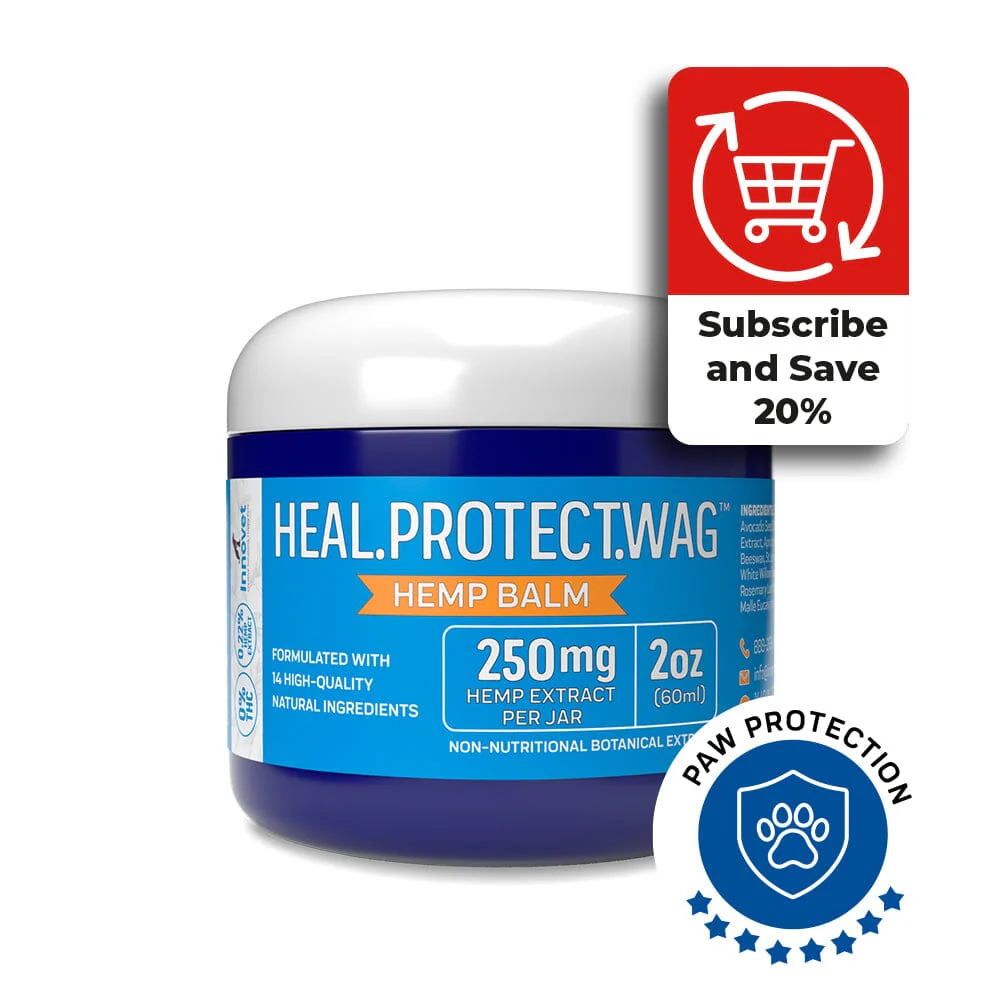 Innovet Oatmeal Paw Balm for Dachshunds