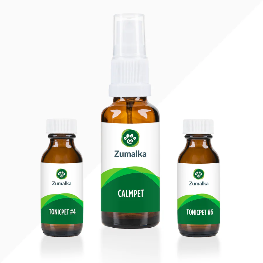 Zomalka Anxiety Relief Drops — calm support for anxious Dachshunds