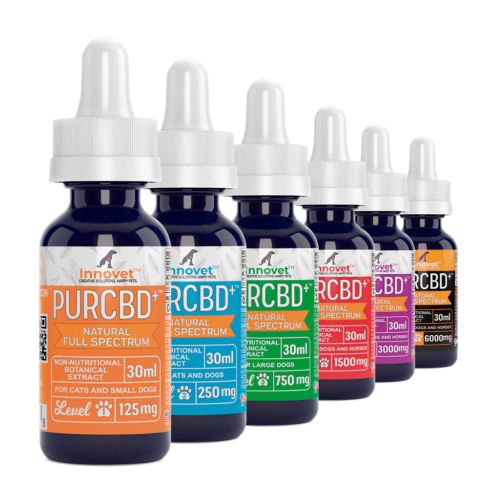 Innovet PurCBD Oil - Natural relief for arthritis pain