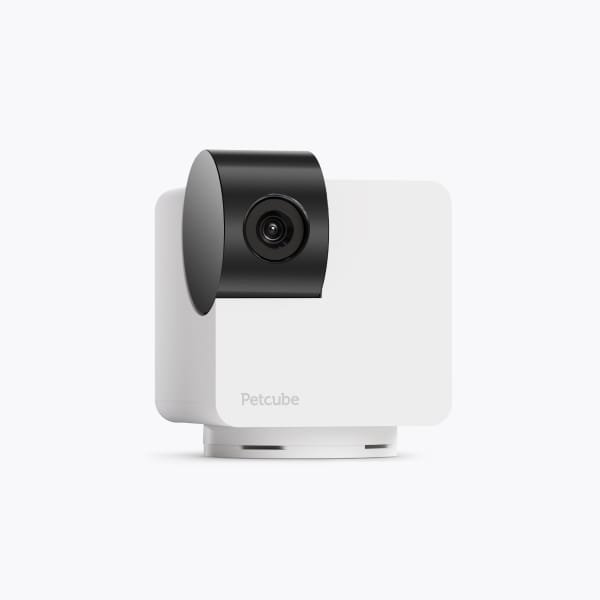 Petcube Cam 360 - Monitor your Dachshund from anywhere