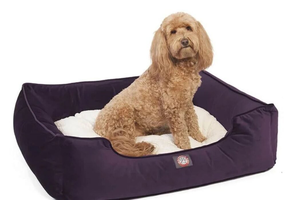 Majestic Pet Contemporary Lounge Bed