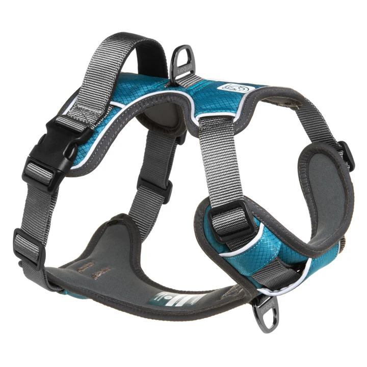 Embark Pet Adventure Harness - Gentle support for arthritic Dachshunds