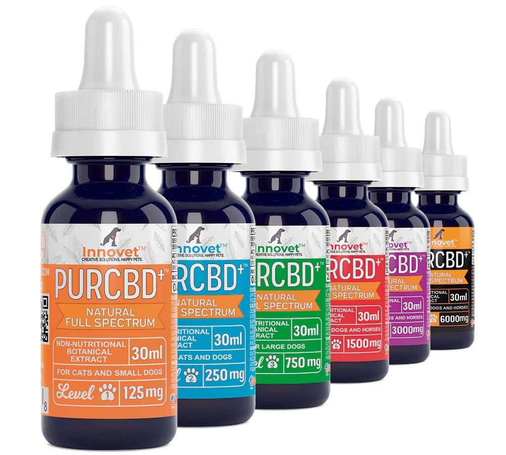 Innovet Pet CBD for Dachshund