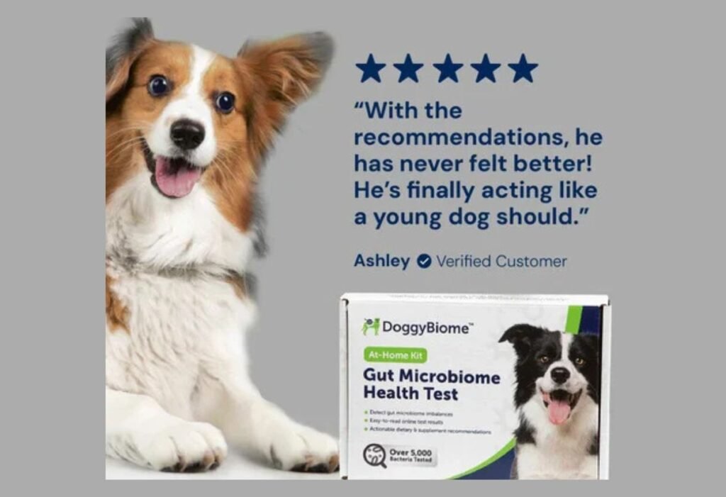 AnimalBiome Gut Health Test For Dachshund